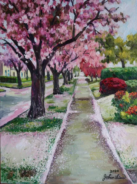 Lingering Footsteps of the spring blossoms